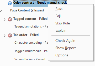 Screenshot of accessibility checker options for a rule