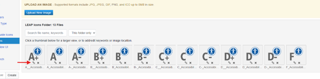 Screenshot of a file directory displaying 13 LEAP icons with medical and accessibility symbols. Icons are labeled with letters and symbols and are organized in a horizontal row.